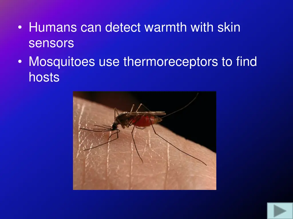 humans can detect warmth with skin sensors