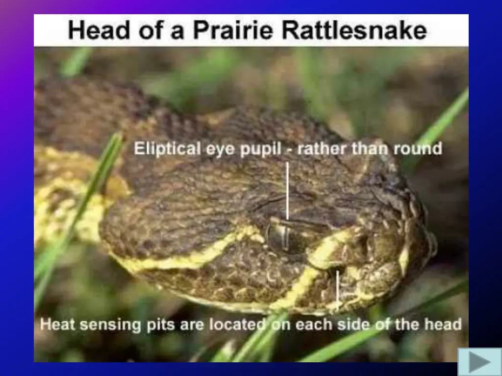 slide7