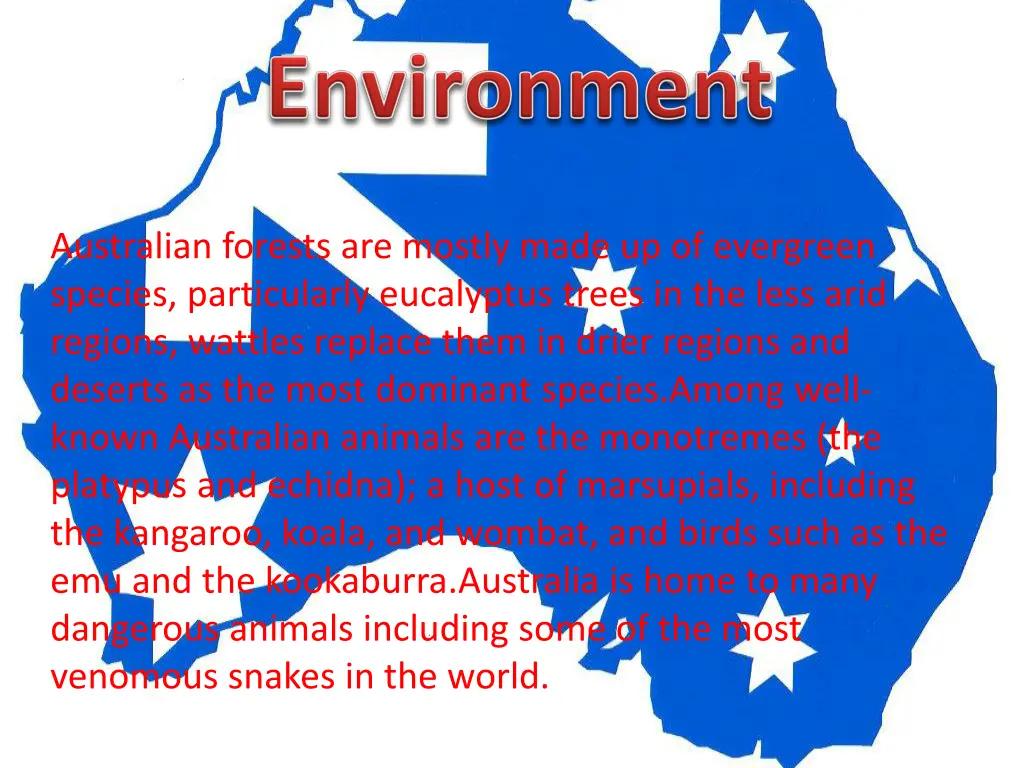 australian forests are mostly made