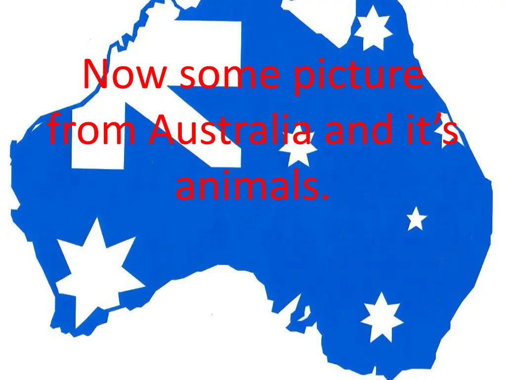 now some picture from australia and it s animals