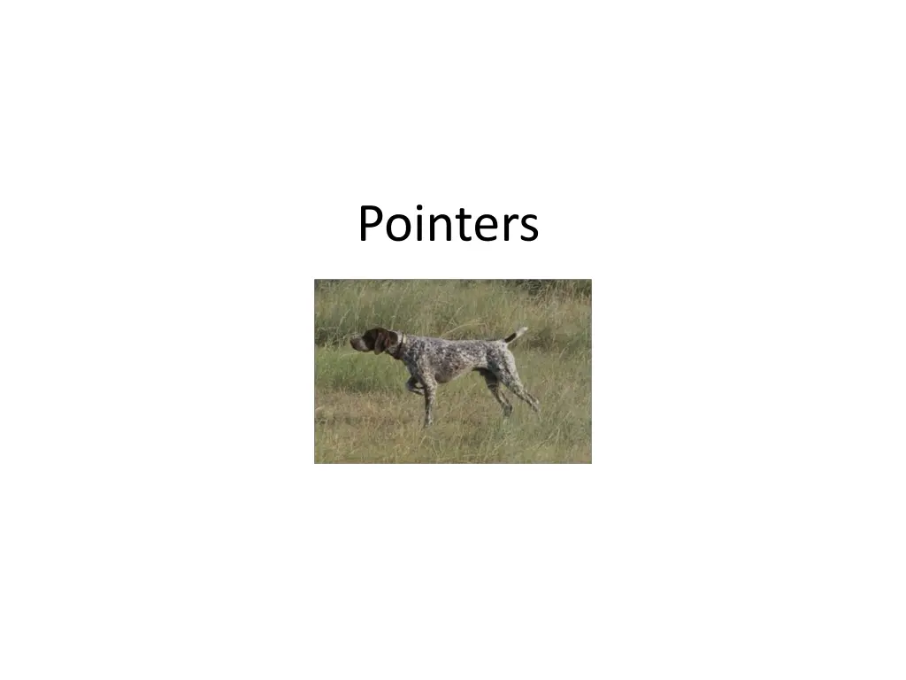 pointers 1