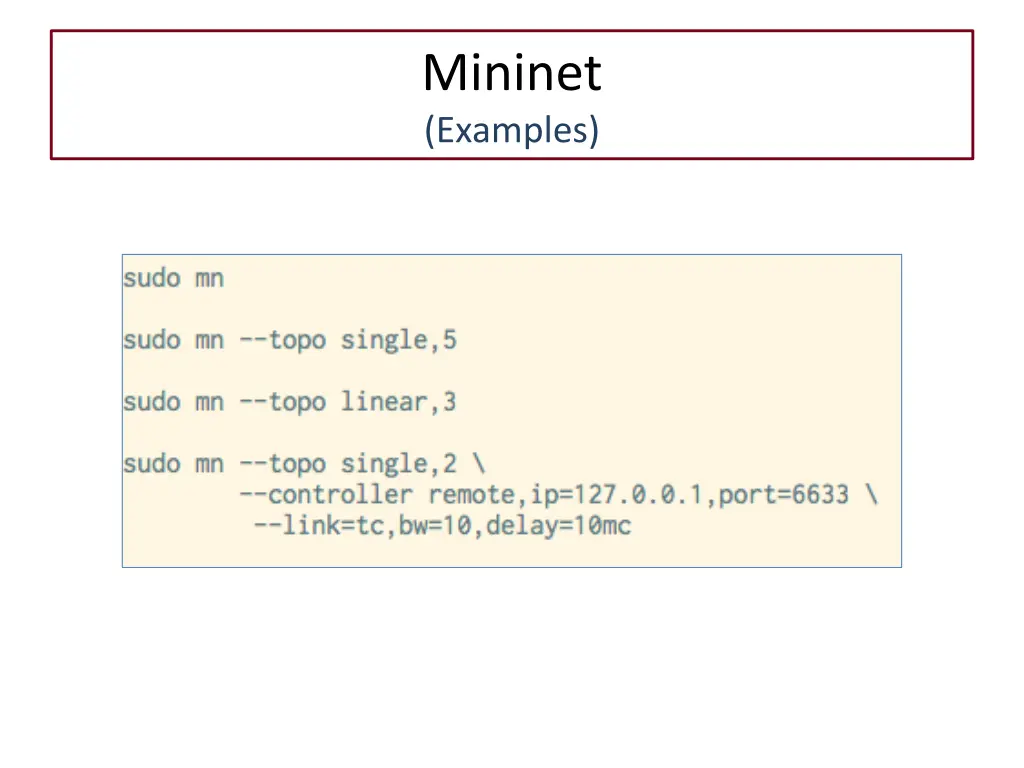 mininet examples