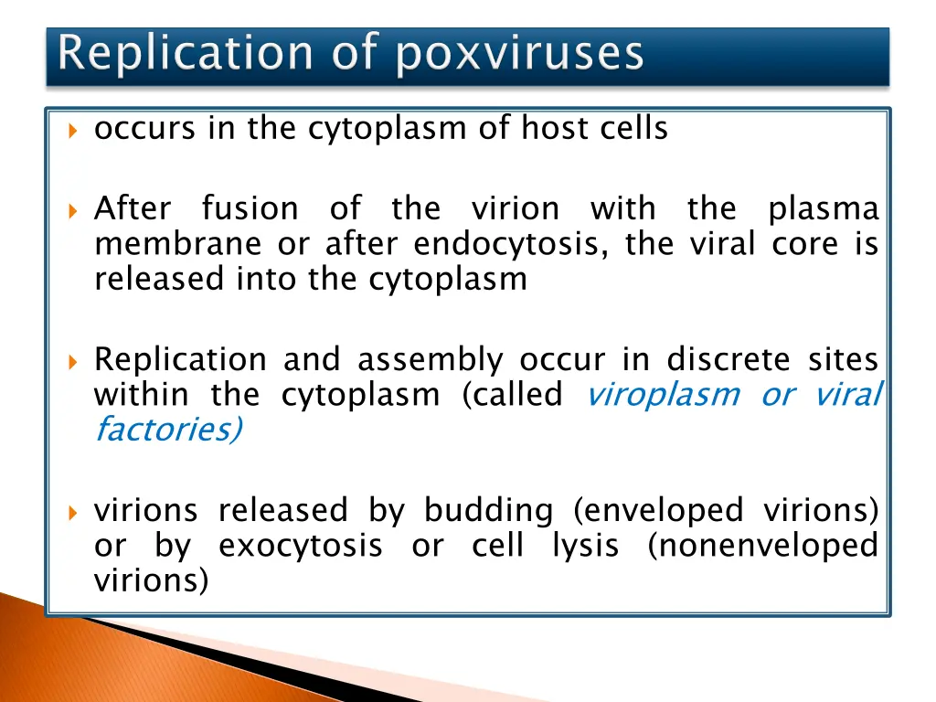 occurs in the cytoplasm of host cells