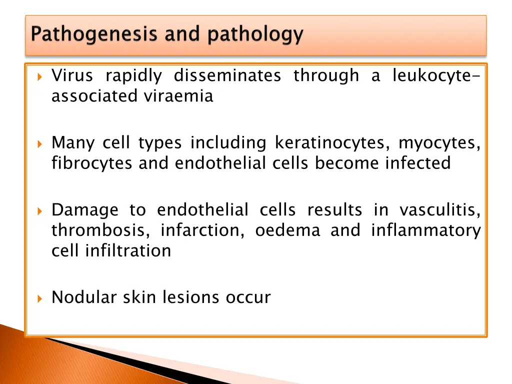 virus rapidly disseminates through a leukocyte