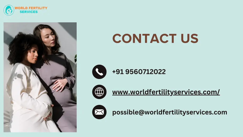 contact us