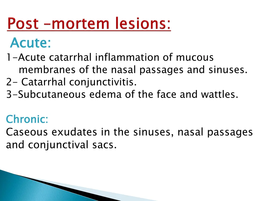 acute 1 acute catarrhal inflammation of mucous