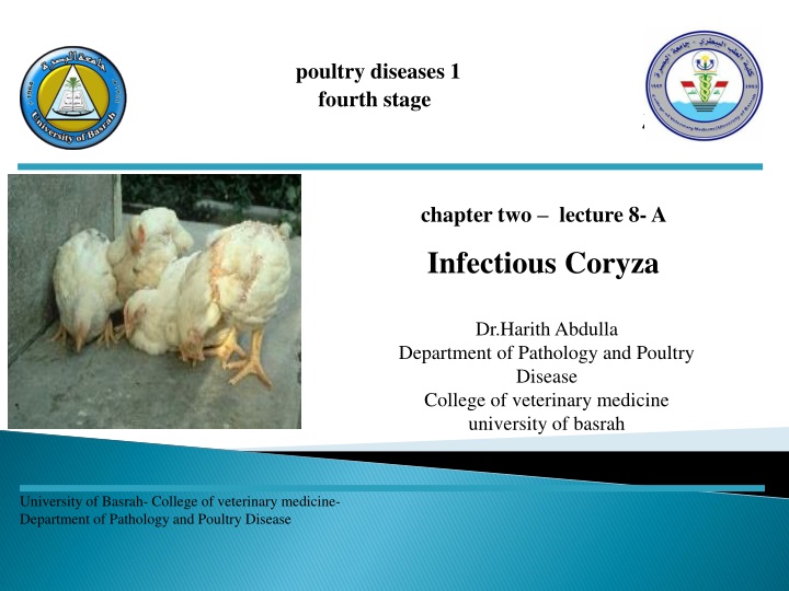 poultry diseases 1 fourth stage