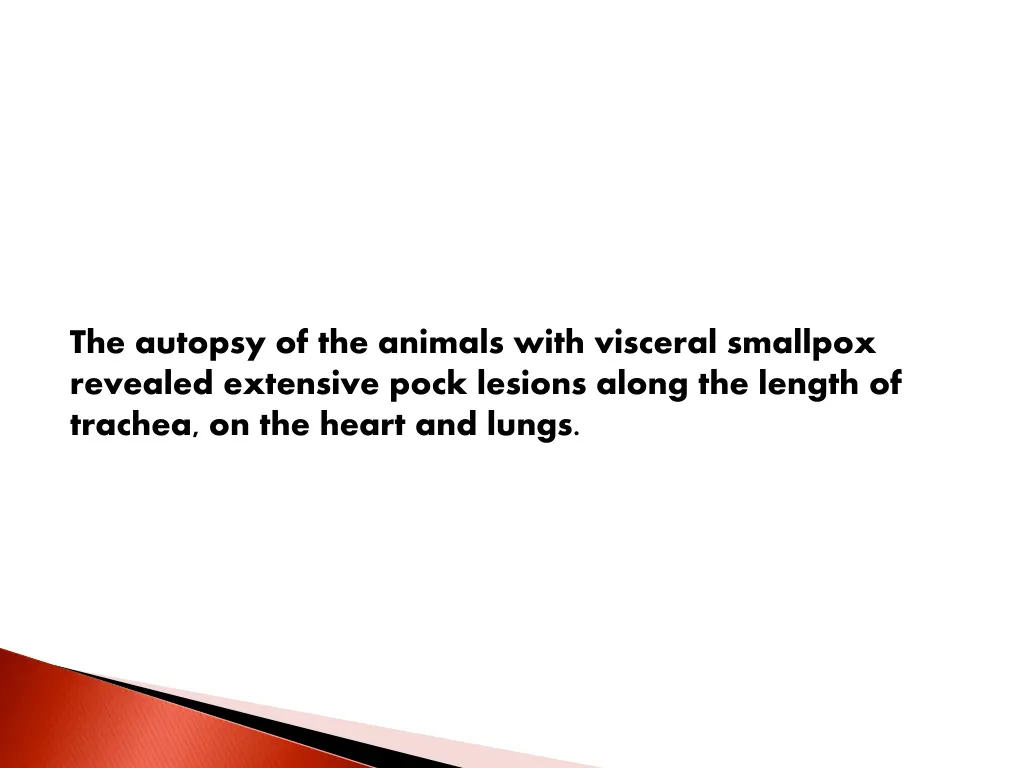 the autopsy of the animals with visceral smallpox