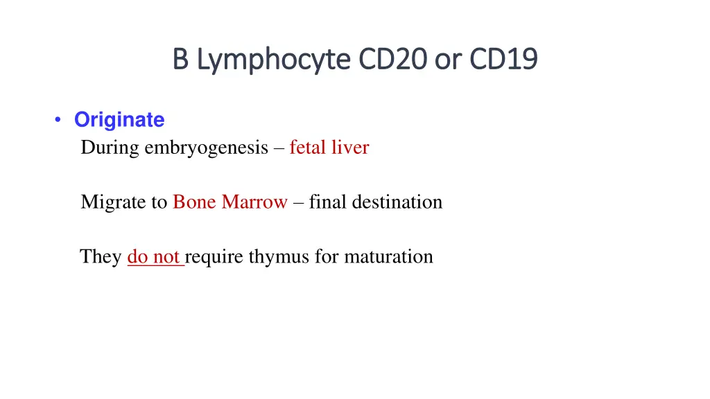 b lymphocyte cd b lymphocyte cd20