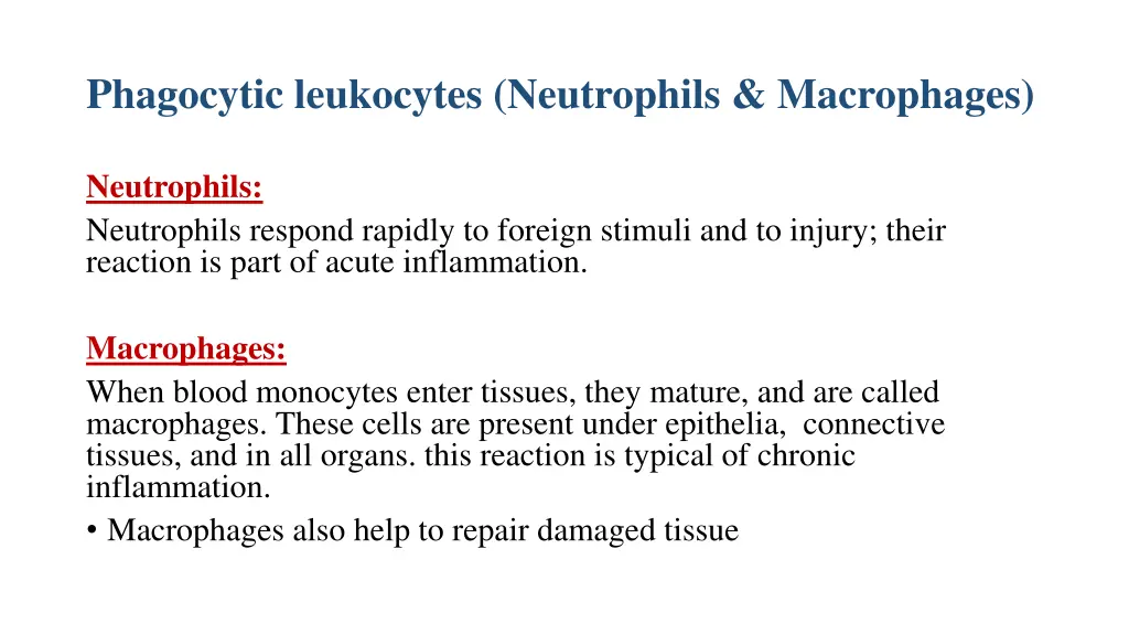 phagocytic leukocytes neutrophils macrophages