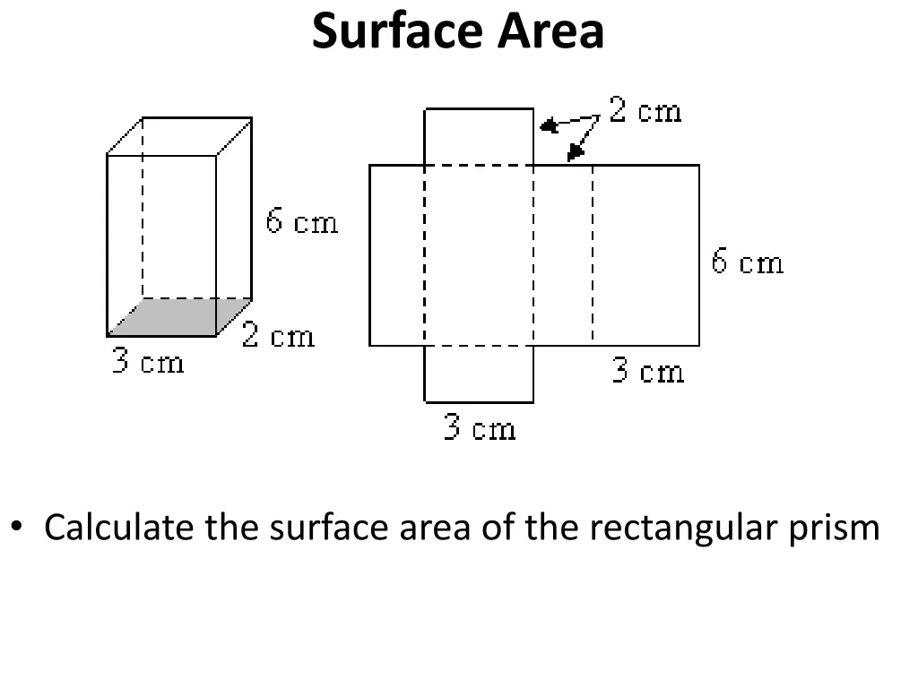 surface area
