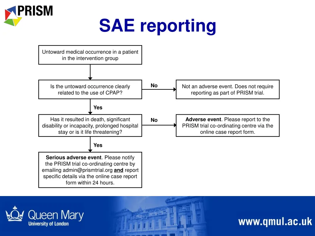 sae reporting 1