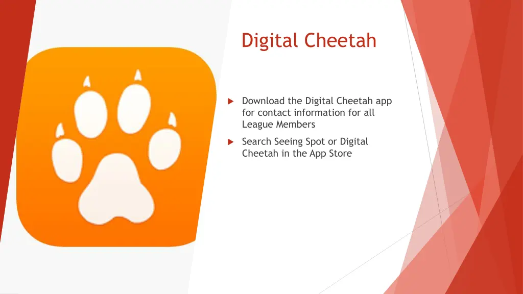 digital cheetah