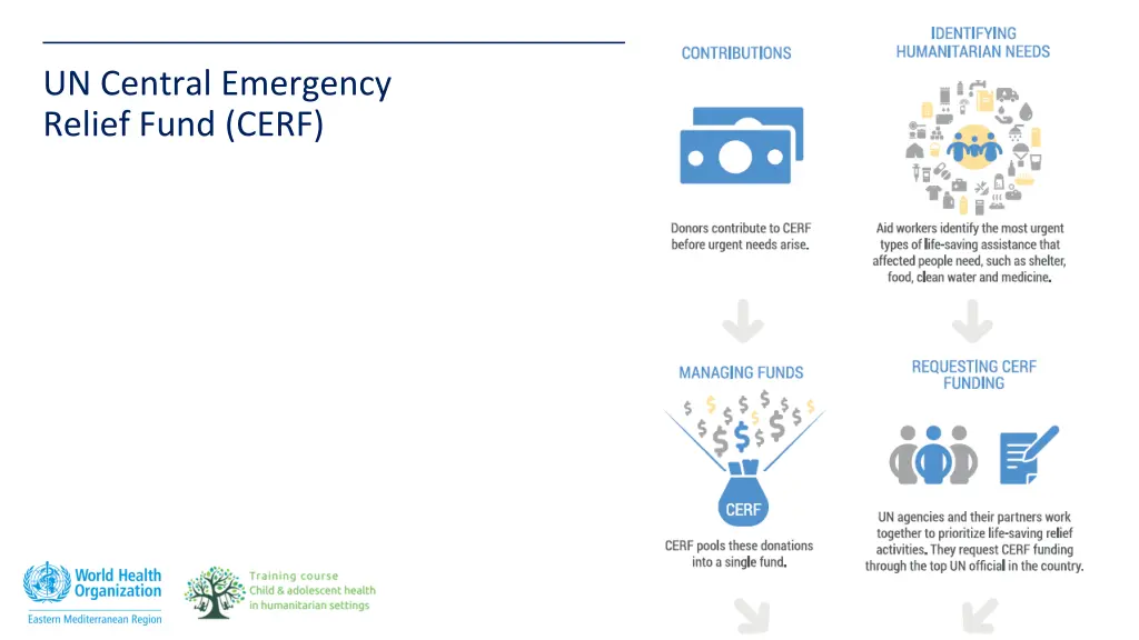 un central emergency relief fund cerf