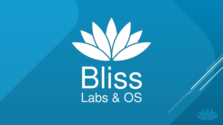 bliss labs os