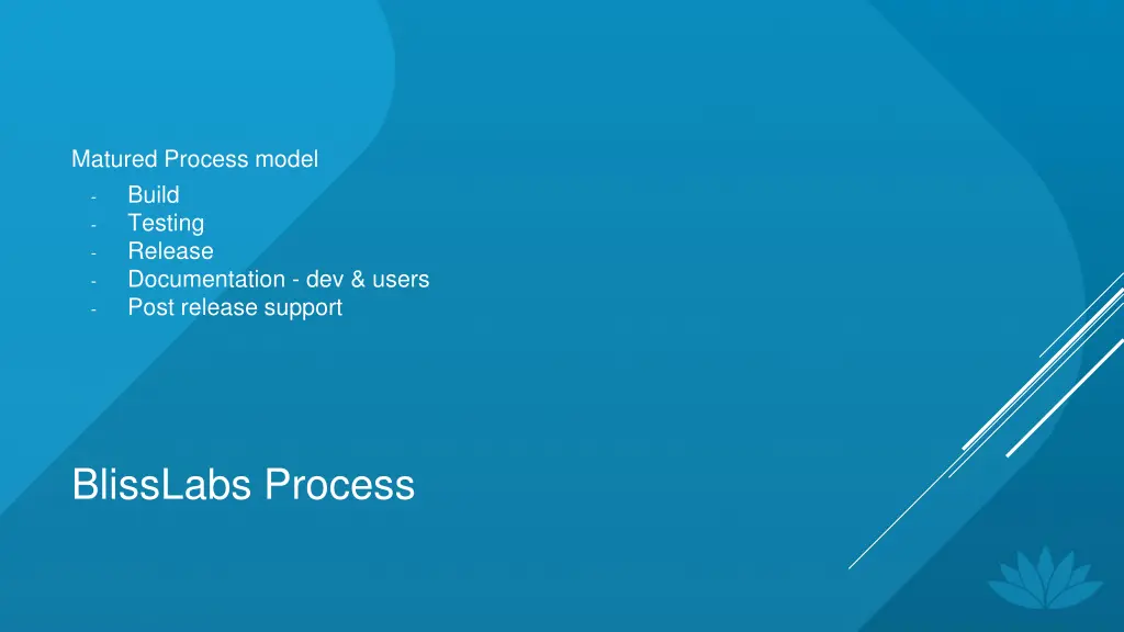 matured process model build testing release