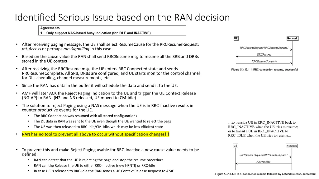 identified serious issue based on the ran decision