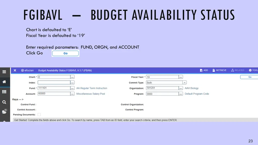 fgibavl budget availability status