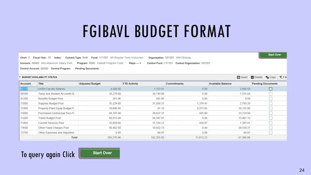 fgibavl budget format