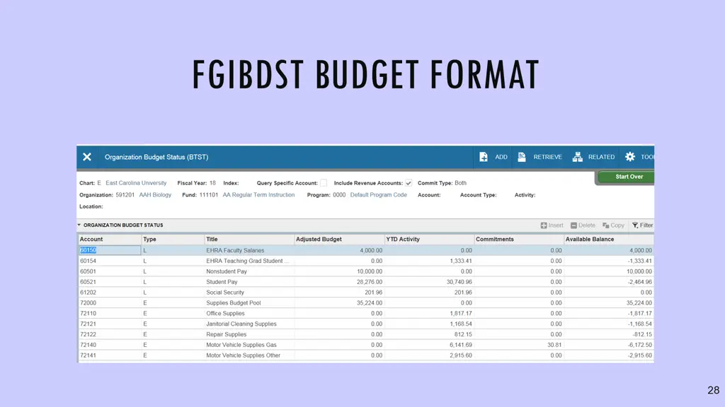 fgibdst budget format