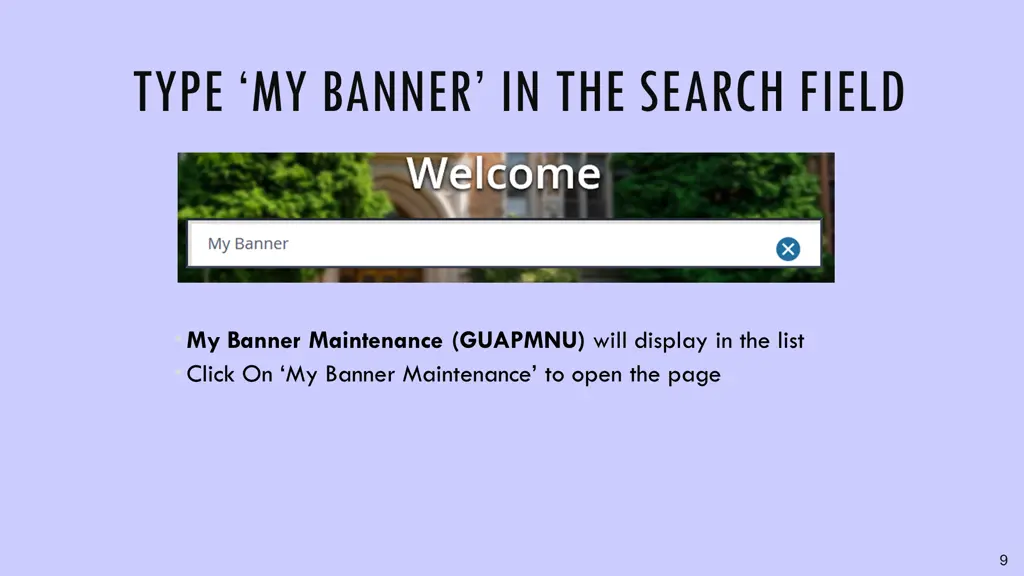 type my banner in the search field