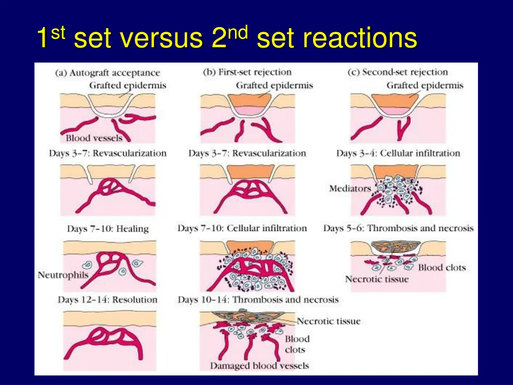 1 st set versus 2 nd set reactions