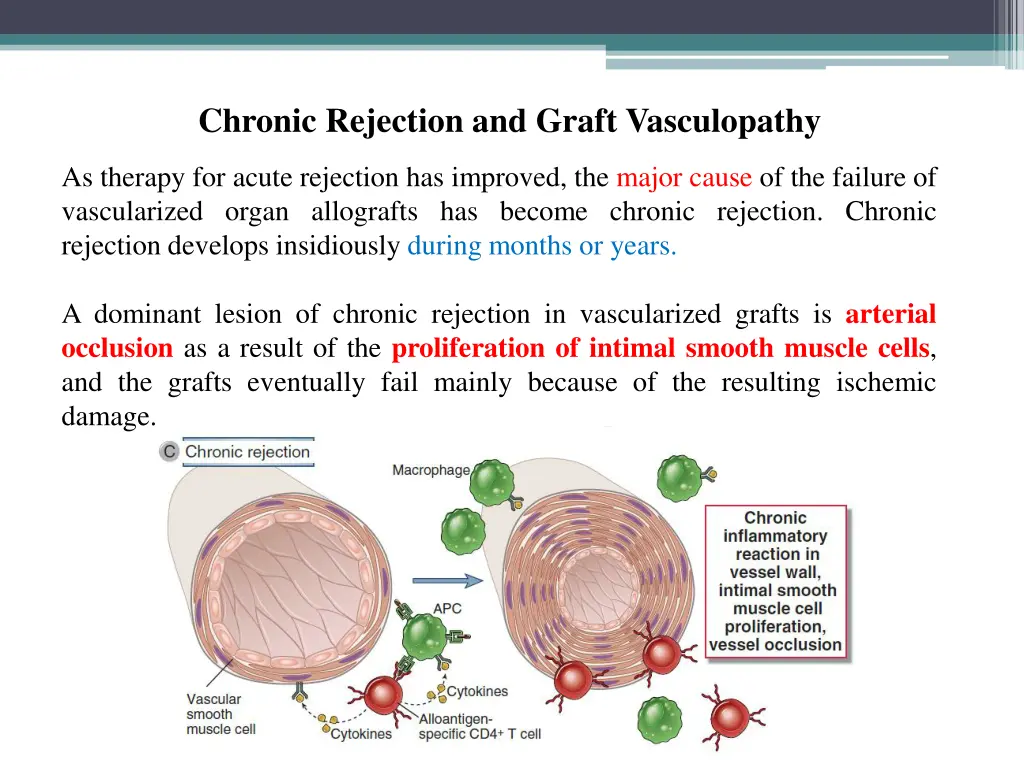 chronic rejection and graft vasculopathy