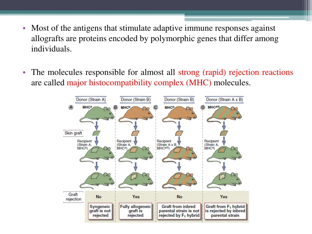 most of the antigens that stimulate adaptive