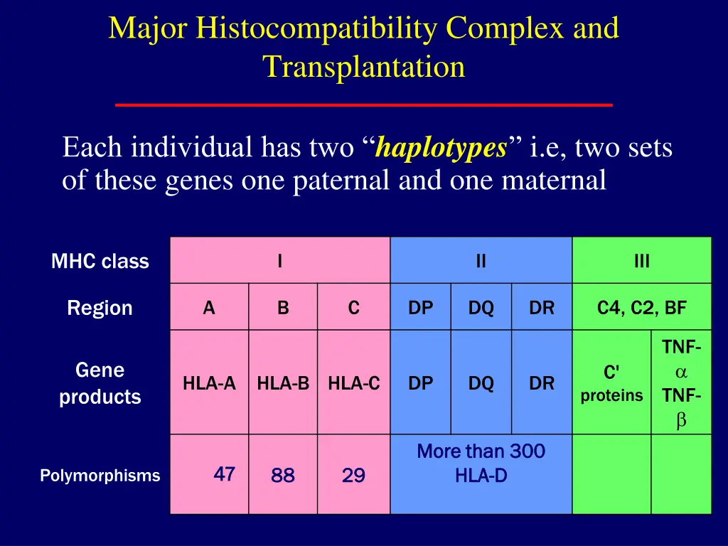 major histocompatibility complex 2