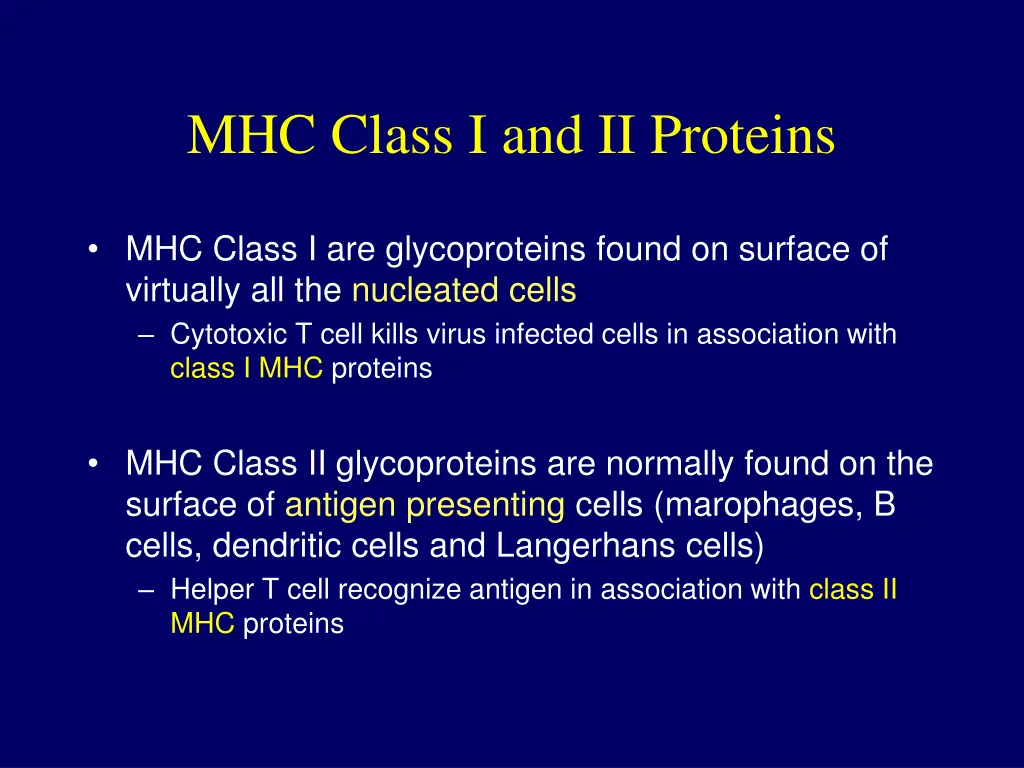mhc class i and ii proteins