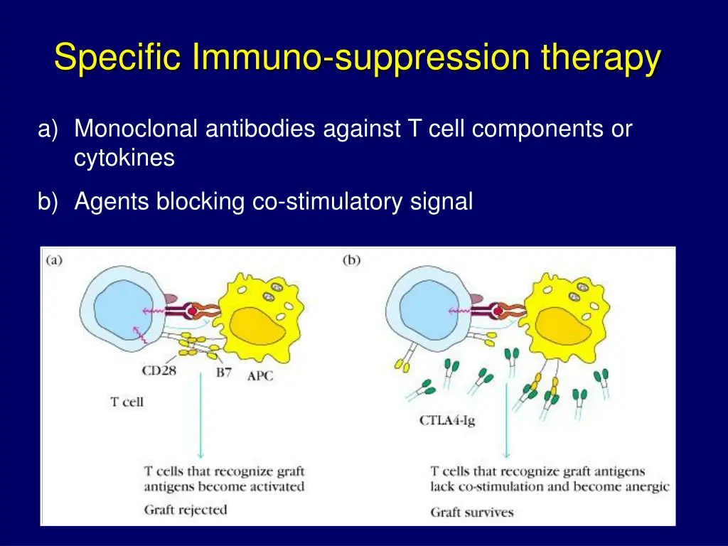 specific immuno suppression therapy