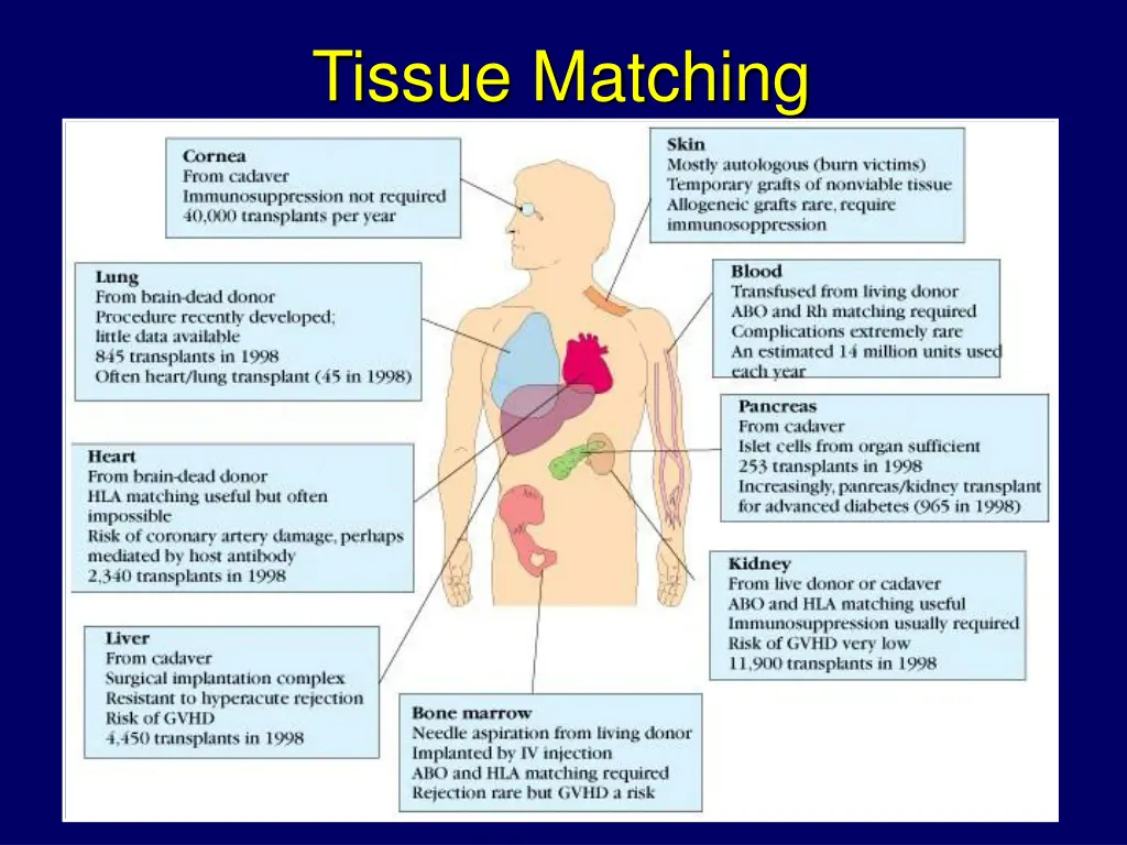 tissue matching 1