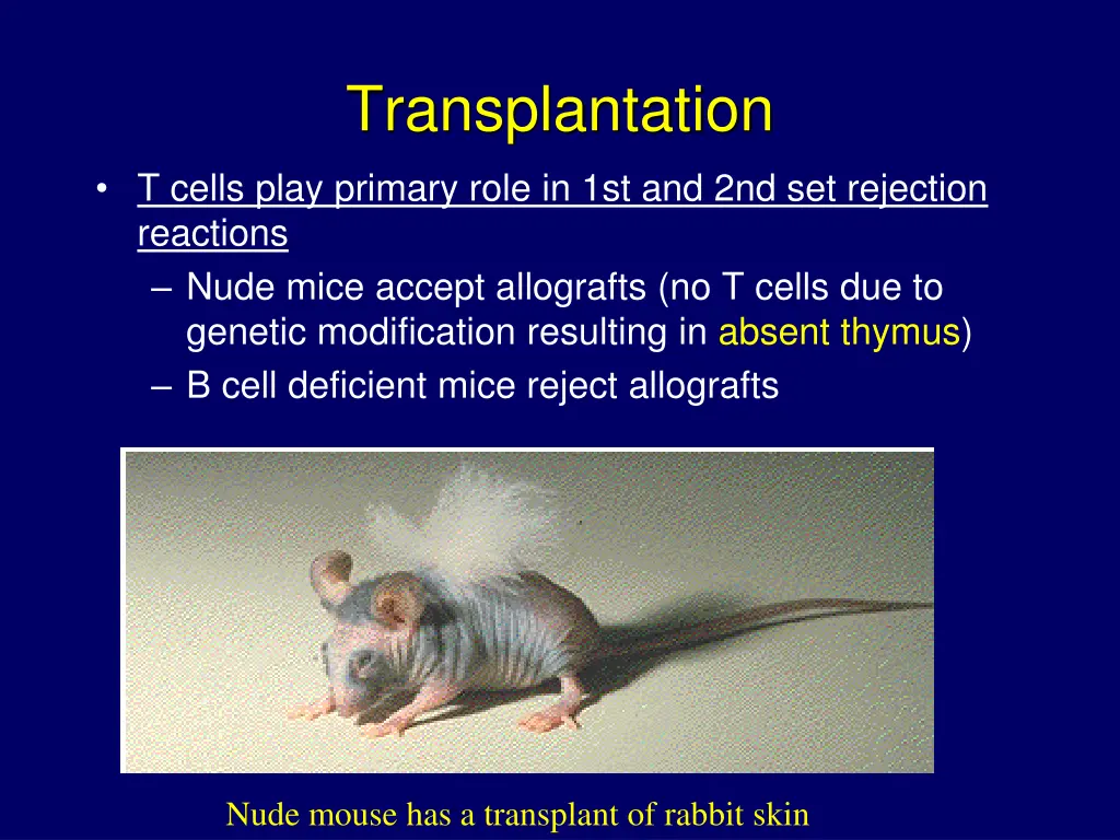 transplantation 3