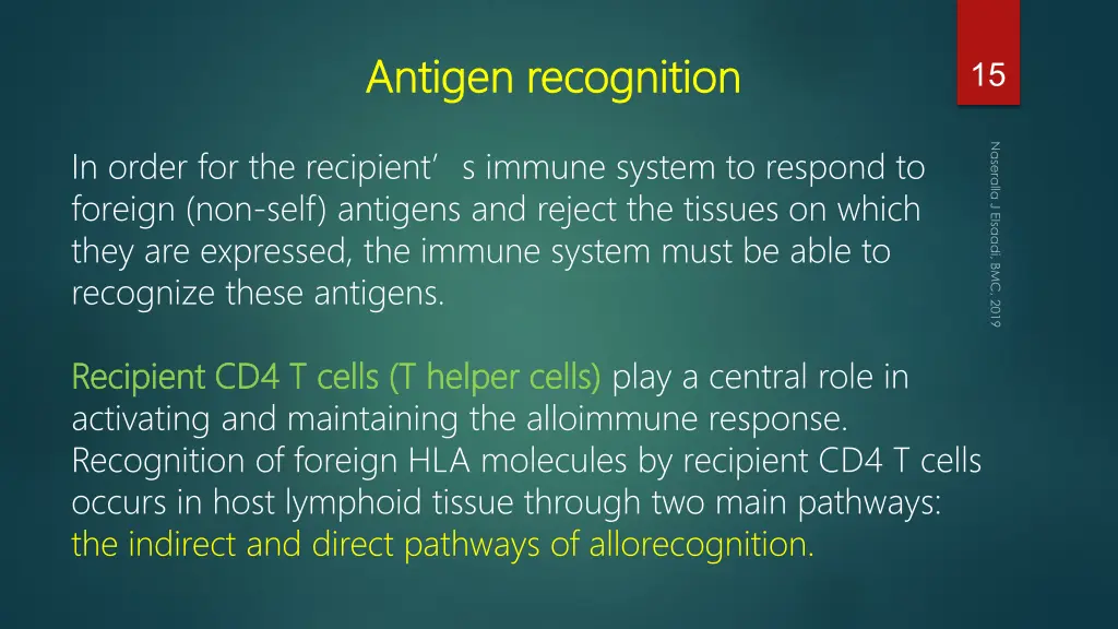 antigen recognition antigen recognition