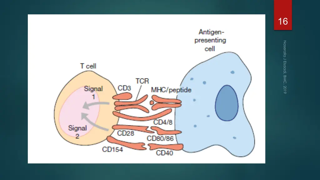 slide16