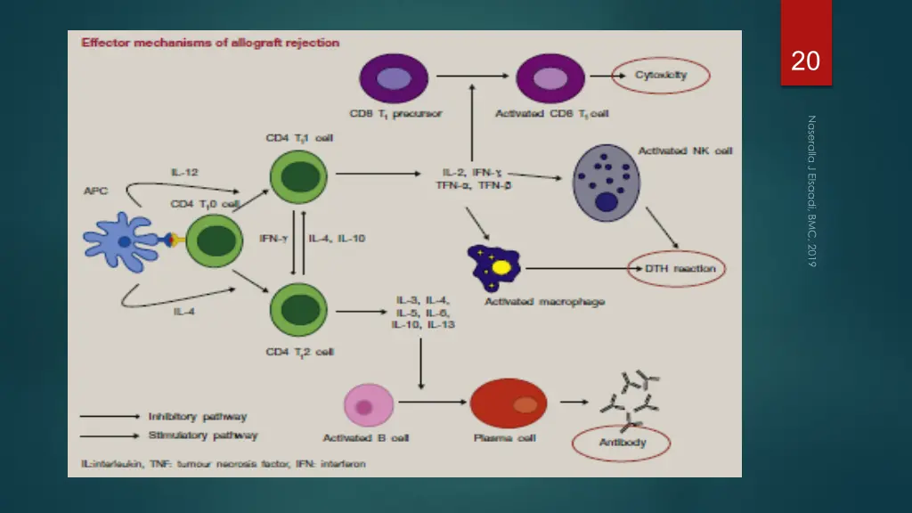 slide20