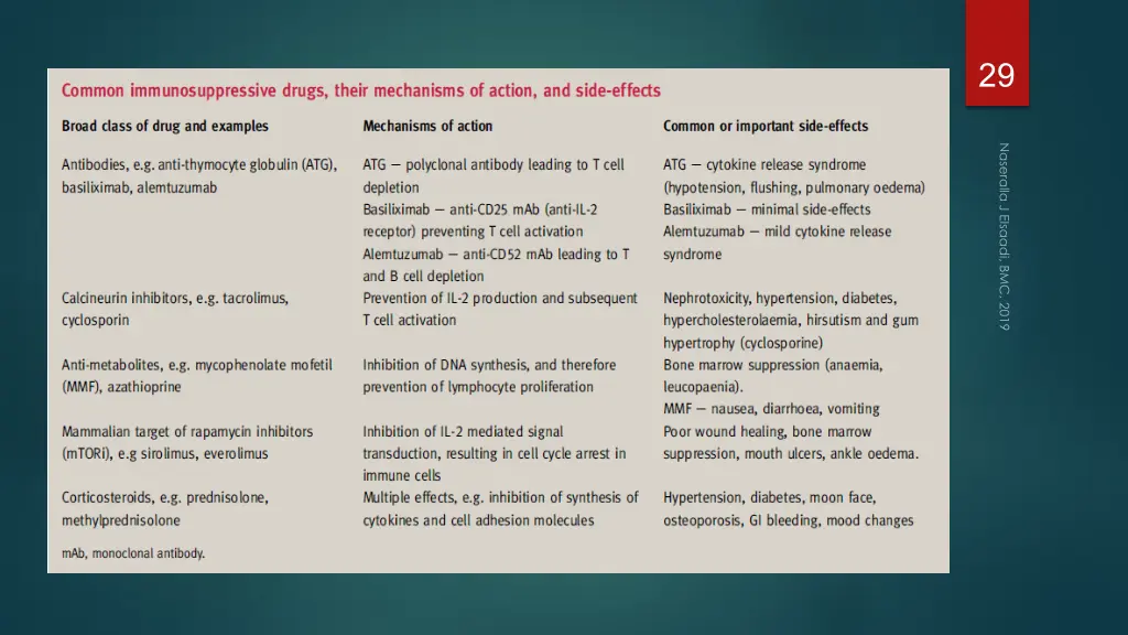 slide29