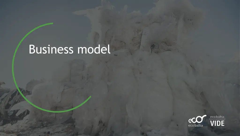 business model