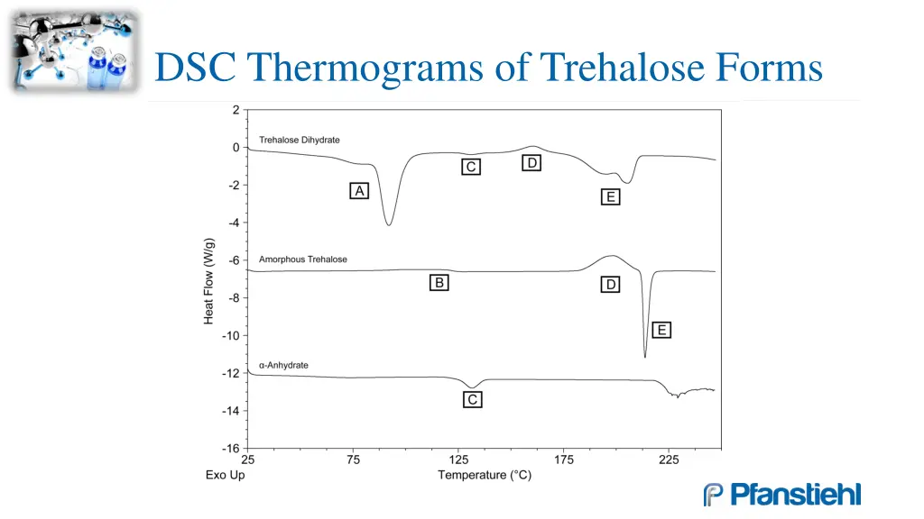 dsc thermograms of trehalose forms