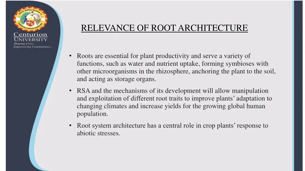 relevance of root architecture