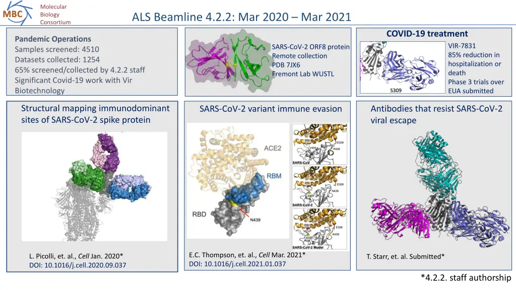 molecular biology consortium