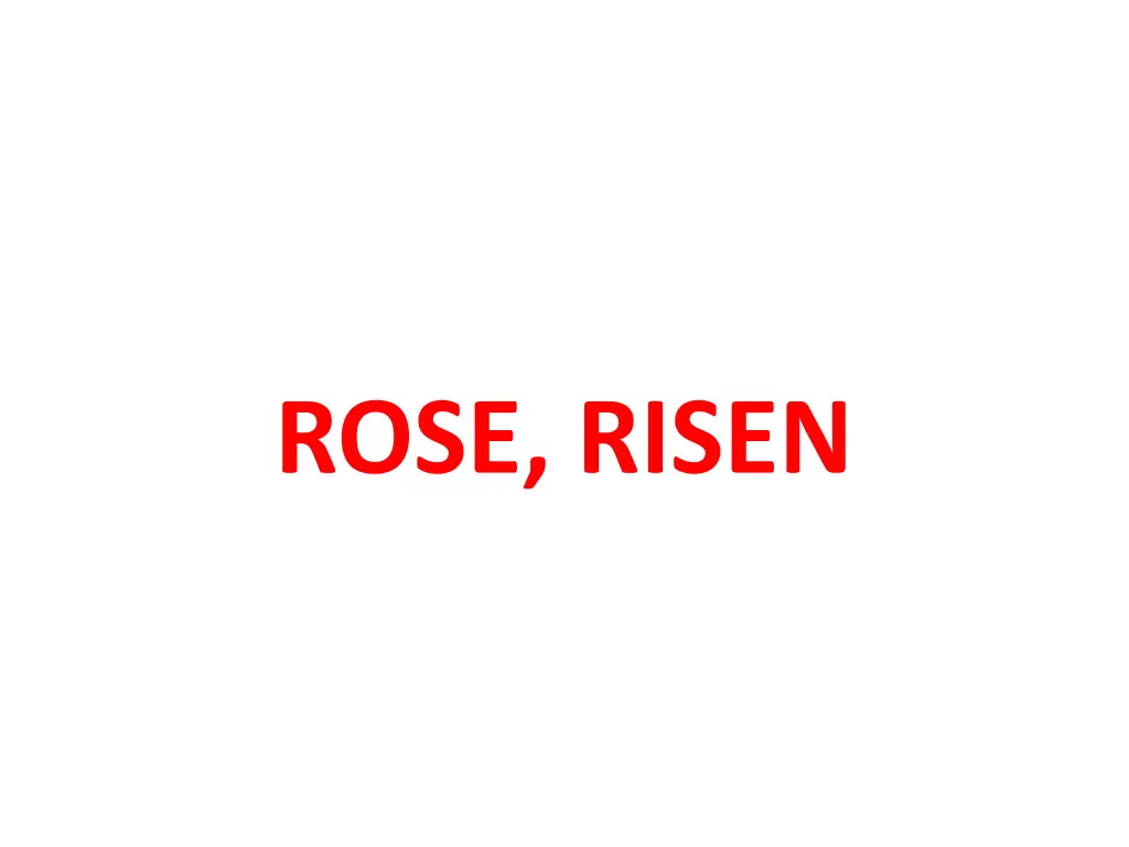 rose risen