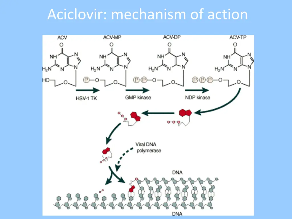 aciclovir mechanism of action