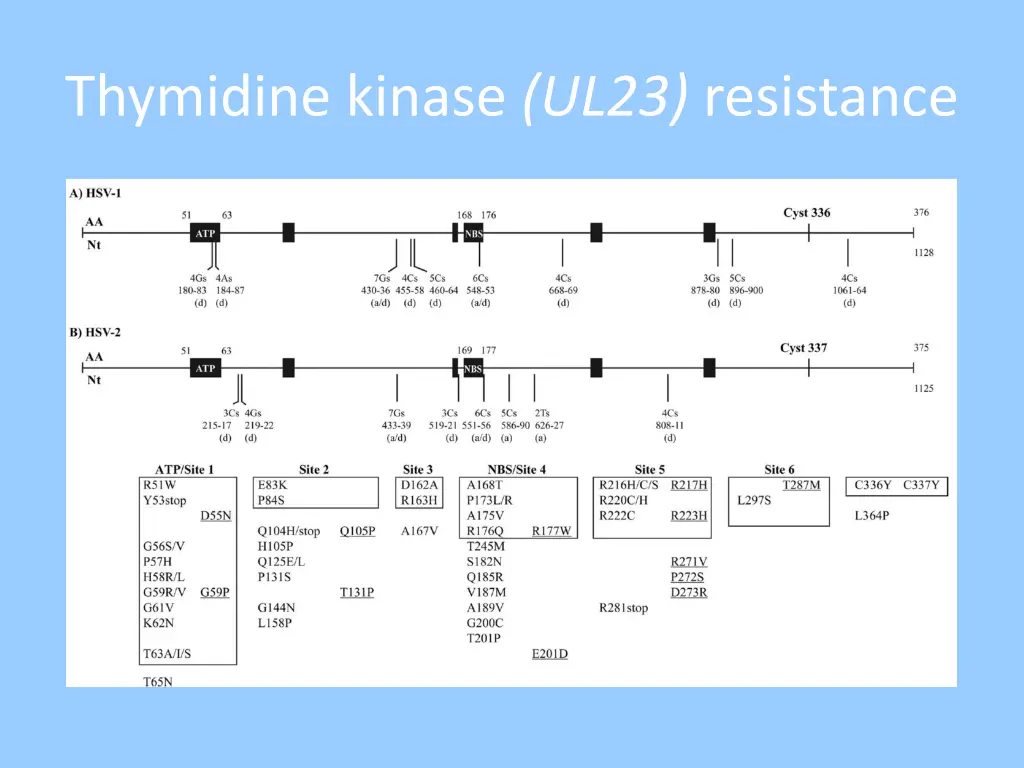 thymidine kinase ul23 resistance