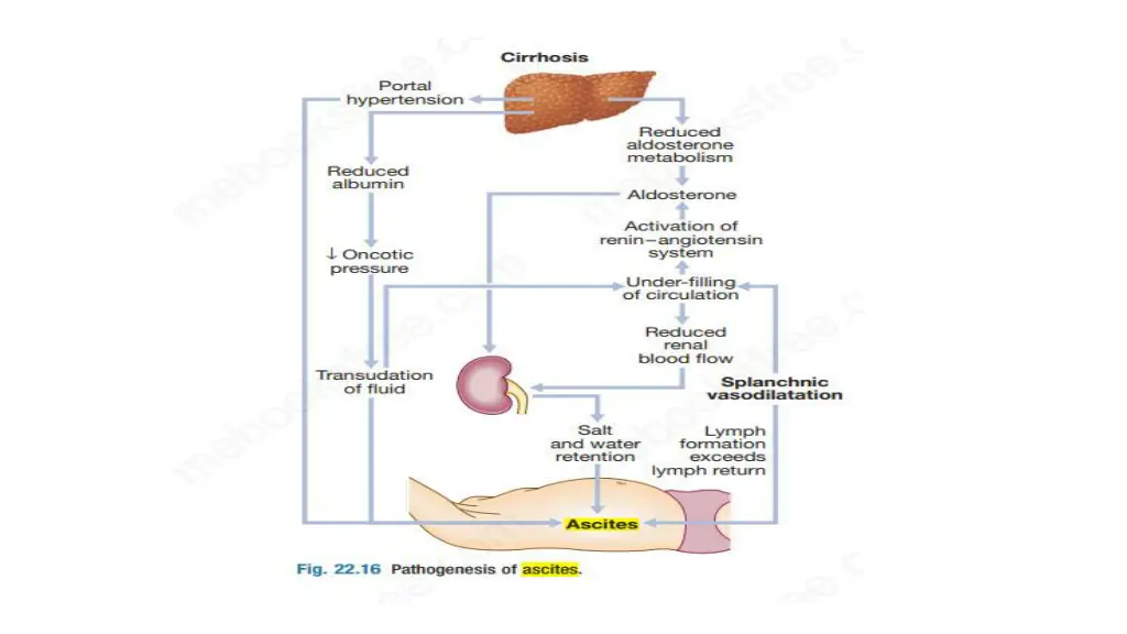 slide15