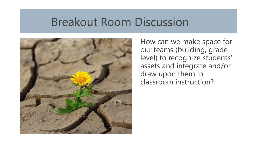 breakout room discussion