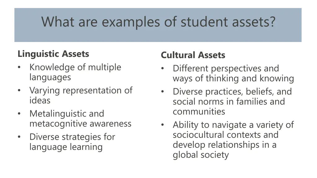 what are examples of student assets