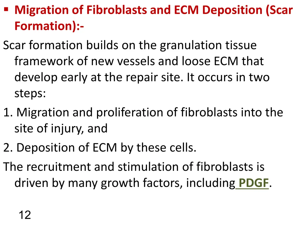 migration of fibroblasts and ecm deposition scar