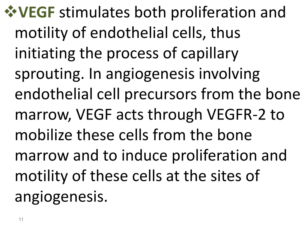 vegf stimulates both proliferation and motility