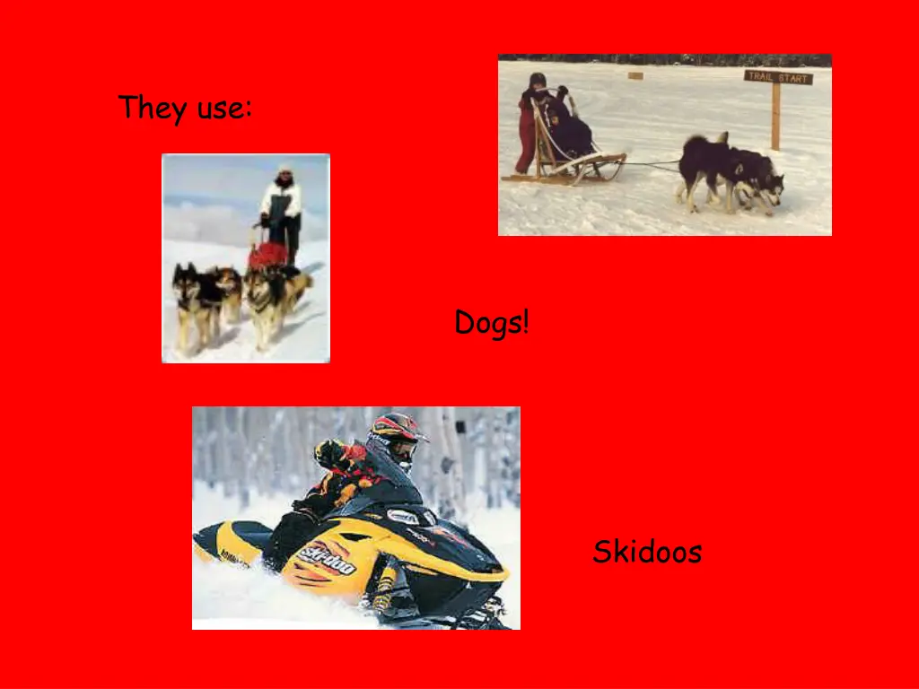 they use